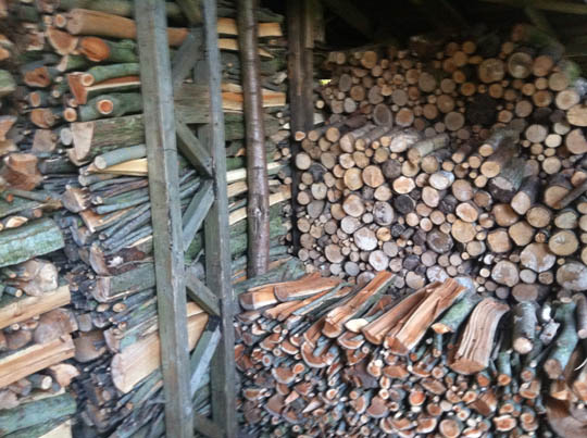 Firewood