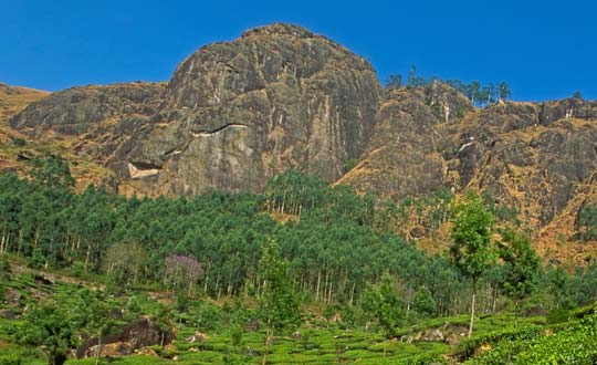 Mt. Kenya